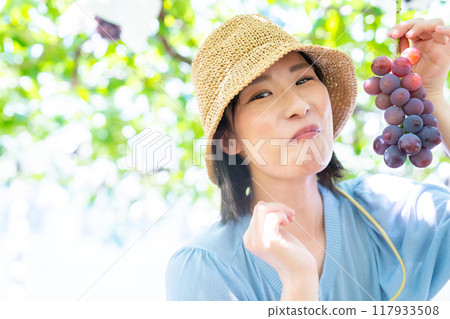 摘葡萄的女人 摘水果的女人 117933508