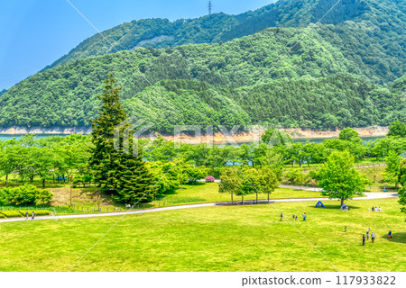 神奈川縣春天宮瀨湖濱公園 117933822