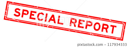 Grunge red special report word square rubber stamp in white background 117934333