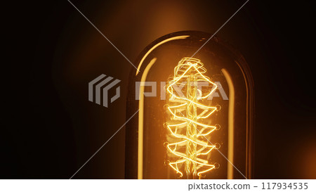 Real Incandescent Edison Tungsten filament lamp, vintage retro bulb. Energy, electricity, innovation 117934535