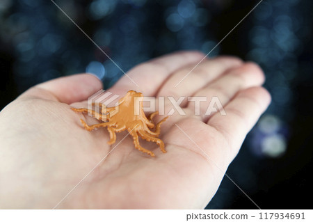 image of octopus hand dark background 117934691