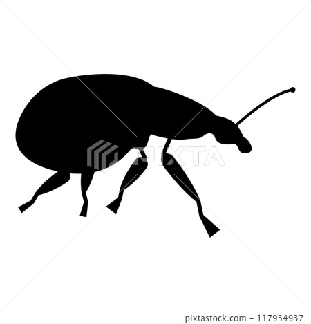 Weevil insect pest icon black color vector illustration image flat style 117934937