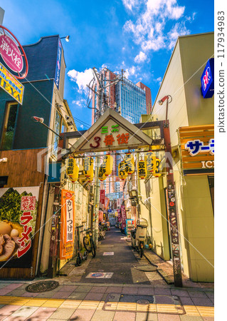 八月的日本東京城市景觀。三軒茶屋車站旁的酒吧區「三茶第三大道」(三軒茶屋三角區)的景色。 八月的日本東京城市景觀。三軒茶屋車站旁的酒吧區「三茶第三大道」(三軒茶屋三角區)的景色。 117934983