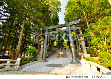 [Nagano Prefecture] Suwa Taisha Shrine, Shimosha Akimiya 117935028