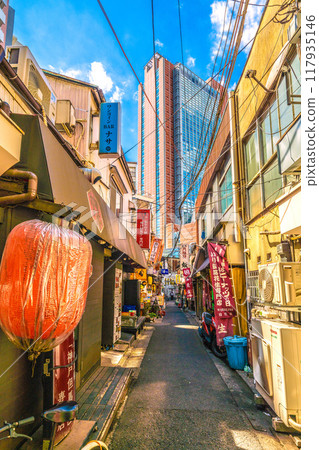Tokyo cityscape, Japan, August. View of the drinking district "Sancha 3rd Street" (Sangenjaya Triangle Area) right next to Sangenjaya Station Tokyo cityscape, Japan, August. View of the drinking district "Sancha 3rd Street" (Sangenjaya Triangle Area) right next to Sangenjaya Station 117935146