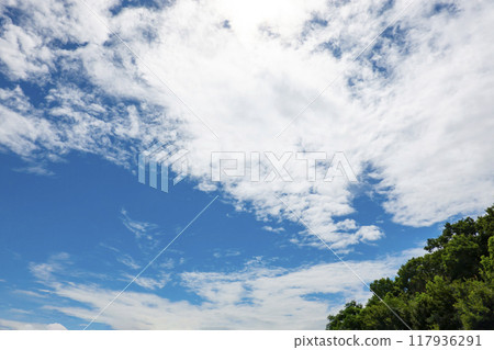 夏天的雲和樹 夏天的雲和樹 117936291