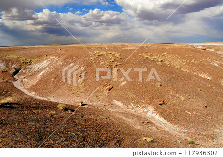 Harsh Landscape Petrified Forest National Park Arizona 117936302