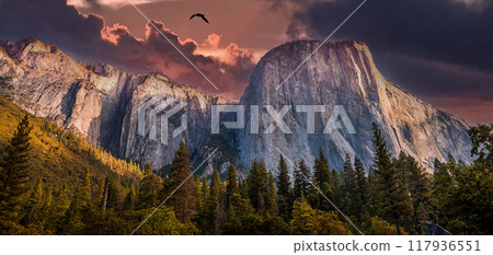 El Capitan, Yosemite national park 117936551