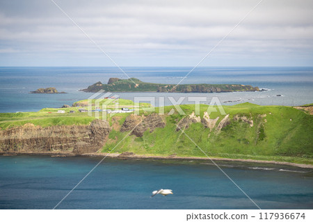 雷普頓島的蘇格蘭角和托多島 雷普頓島的蘇格蘭角和托多島 117936674