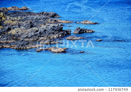 禮文島墨海岬的礁石與蔚藍的大海 117936749