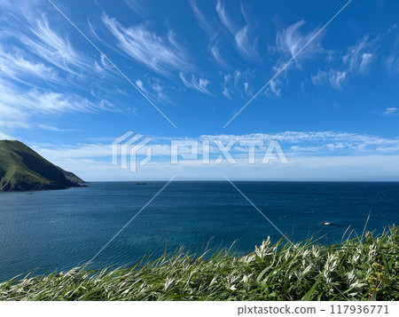 從禮文島須彌岬所看到的藍色大海 從禮文島須彌岬所看到的藍色大海 117936771