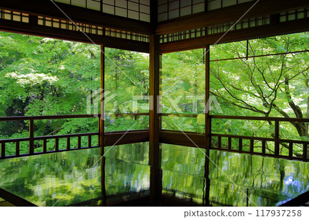 Rurikoin Temple, photo of the reflection of fresh greenery during the spring special viewing Rurikoin Temple, photo of the reflection of fresh greenery during the spring special viewing 117937258