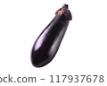 1 eggplant, cut into pieces 117937678