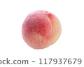 1 white peach, cut into pieces 117937679
