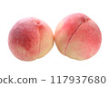 2 white peaches, cut into pieces 117937680