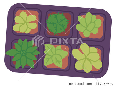 Seedlings growing in box. Home gardening color icon 117937689