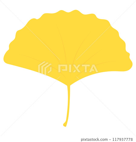 Ginkgo leaf illustration Ginkgo leaf illustration 117937778