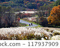 Touring by motorcycle through the beautiful scenery of autumn leaves and silver grass 117937909