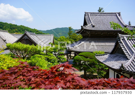 The temple complex of Koukokuji Temple (Yura Town, Wakayama Prefecture) The temple complex of Koukokuji Temple (Yura Town, Wakayama Prefecture) 117937930