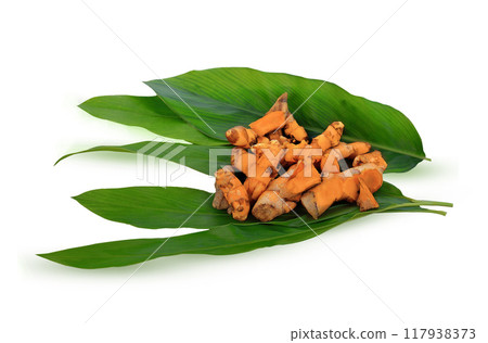 fresh turmeric root on leaves .herb high vitamin C and protect virus. fresh turmeric root on leaves .herb high vitamin C and protect virus. 117938373