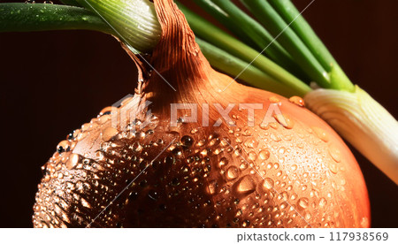 新鮮蔬菜 新鮮蔬菜 117938569