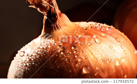 新鮮蔬菜 117938572