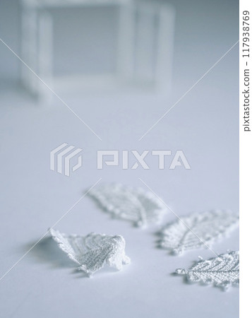 A solemn atmosphere with a white window frame and white leaves on a white background 117938769