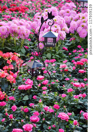 Beautiful harbor scenery with rose arches Beautiful harbor scenery with rose arches 117939139