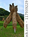 The autumn tradition of "Yozukuhade" 117939229