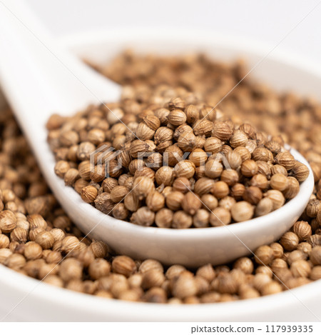 Coriander Grains in a Spoon on a White Background. 117939335
