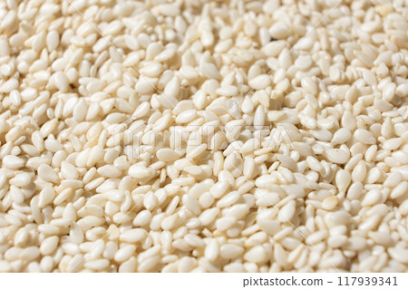White sesame background, macro side view. 117939341