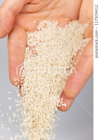 Hands pouring white sesame seeds on gray background Hands pouring white sesame seeds on gray background 117939412
