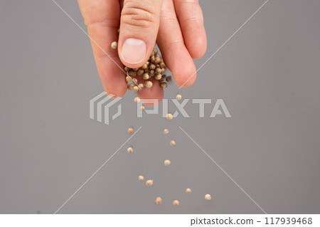 Hand pouring coriander seeds seasoning on a gray background 117939468