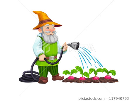 Gnome dwarf character watering the crops. Isolated cartoon vector elf gardener personage tends to vegetables, joyfully watering the garden with a hose, creating magical scene of enchanting cultivation 117940793