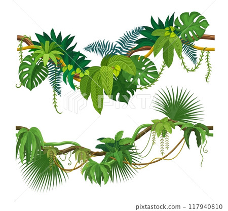 Tropical jungle forest liana and ivy creeper plant with vine branches, cartoon vector. Tropical liana and Amazon rainforest jungle bindweed tree or forest hedera vine with climbing monstera leaves Tropical jungle forest liana and ivy creeper plant with vine branches, cartoon vector. Tropical liana and Amazon rainforest jungle bindweed tree or forest hedera vine with climbing monstera leaves 117940810