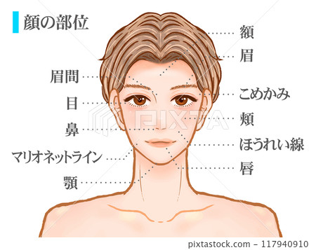 英俊成年男子臉部部位插畫素材 117940910