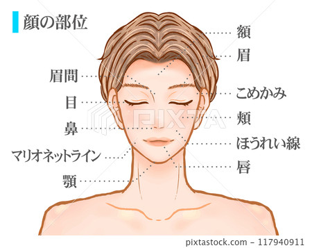 英俊成年男子臉部部位圖解2 117940911