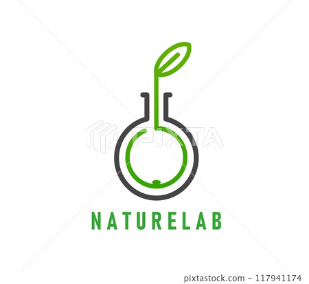 Nature lab icon or green leaf in laboratory flask for bio organic products, vector emblem. Green plant leaf in laboratory test tube icon for eco production company, healthcare or pharmacy badge 117941174