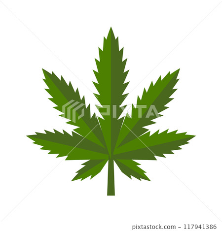 Marijuana Leaf. Medical Cannabis on White Background. Vector 117941386