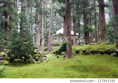 福井縣平泉寺白山神社境內 福井縣平泉寺白山神社境內 117941548