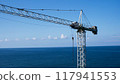 Lifting construction crane on the background of the sea. Construction of facilities by the sea. Industrial crane for cargo transportation 117941553