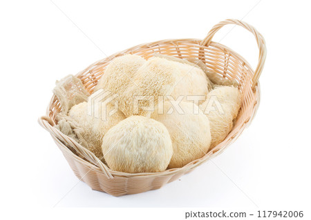 Basket of Lion's Mane Mushrooms on white background 117942006