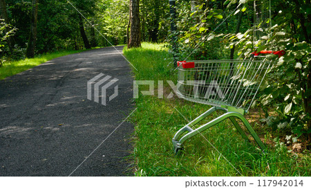 store business sale timber buy wood market shop cart trolley shopping supermarket purchase 117942014
