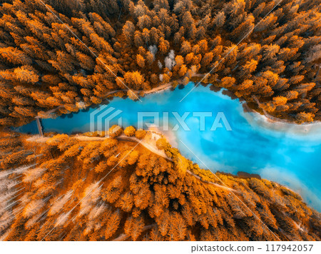 Aerial view of blue lake, orange forest in golden autumn Aerial view of blue lake, orange forest in golden autumn 117942057