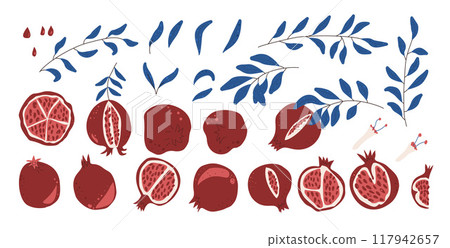 Set of pomegranates. Vector hand drawn collection illustration isolated on white background. 117942657