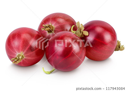 Red gooseberry isolated on white background with full depth of field. Red gooseberry isolated on white background with full depth of field. 117943084
