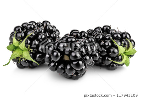 blackberry with leaf isolated on a white background closeup. 117943109