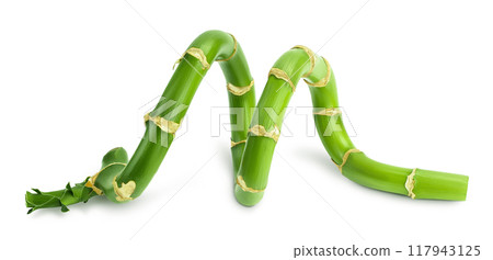 Green bamboo with leaves isolated on white background with full depth of field 117943125