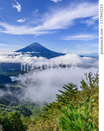 Clear summer sky, Mt. Fuji and sea of clouds (Odake, Yamanashi Prefecture) 117943233