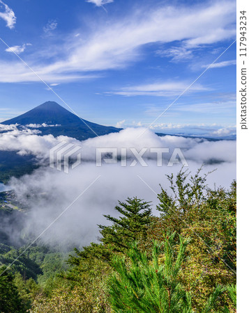Clear summer sky, Mt. Fuji and sea of clouds (Odake, Yamanashi Prefecture) 117943234